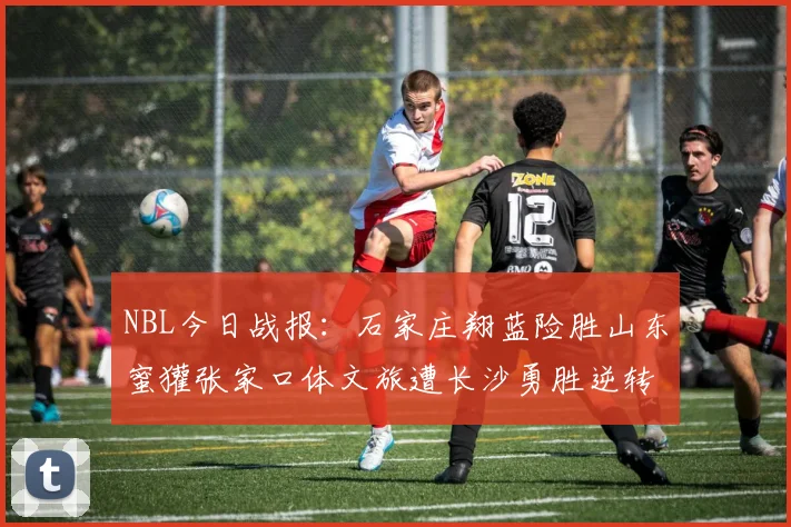 NBL今日战报：石家庄翔蓝险胜山东蜜獾张家口体文旅遭长沙勇胜逆转