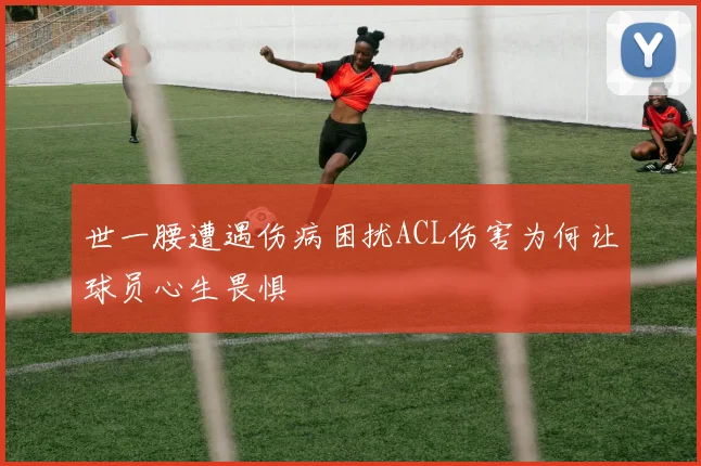 世一腰遭遇伤病困扰ACL伤害为何让球员心生畏惧